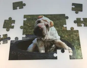 A puzzle with a dog in the middle of it