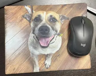 A dog sitting on top of a mouse pad.